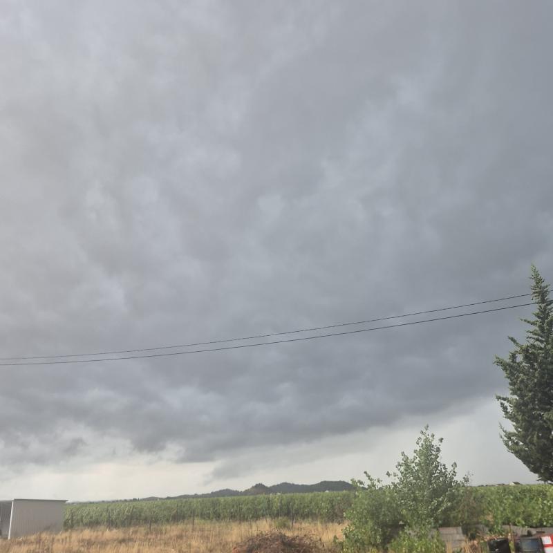 Fotosegnalazione di Tuzi