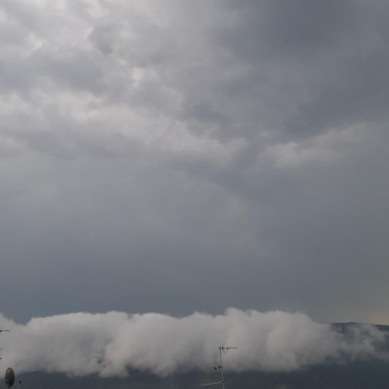Fotosegnalazione di Mori