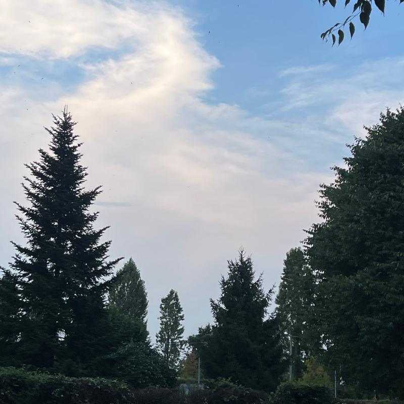 Fotosegnalazione di Venaria reale