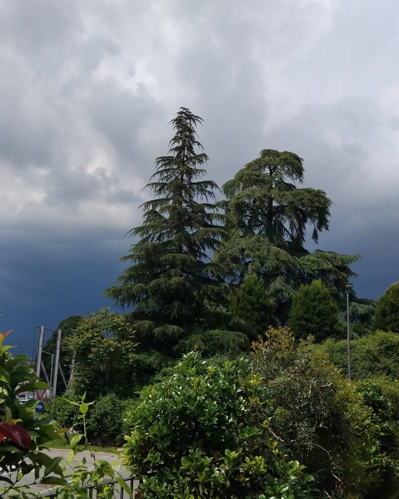 temporale in arrivo...