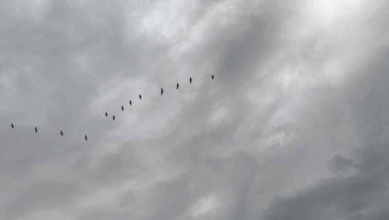 temporali in arrivo da ovest