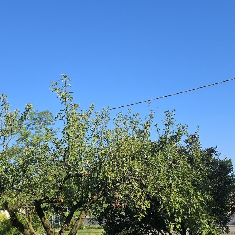 bellissima giornata