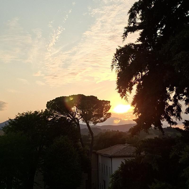 Matelica