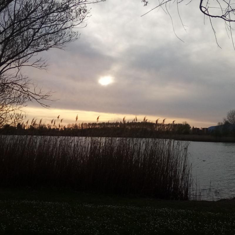 Fotosegnalazione di Pontedera
