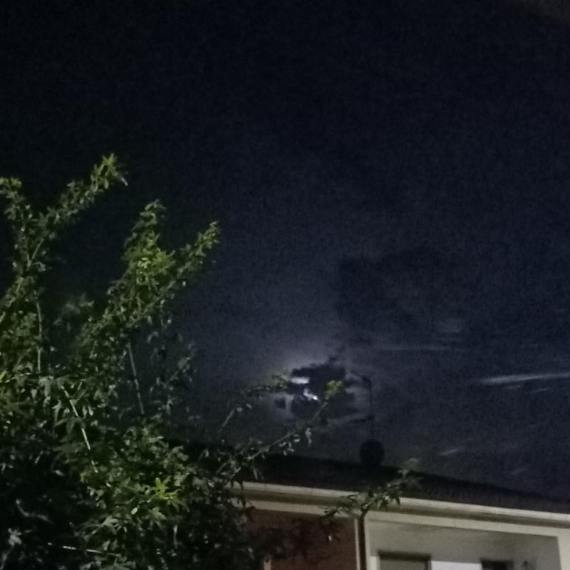 Fotosegnalazione di Garlasco