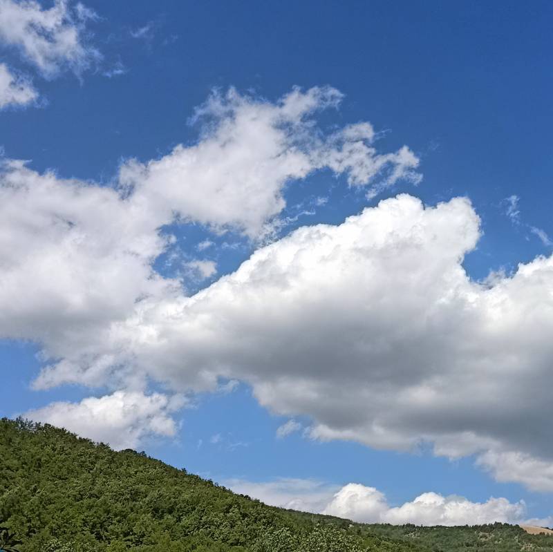 Fotosegnalazione di Coli
