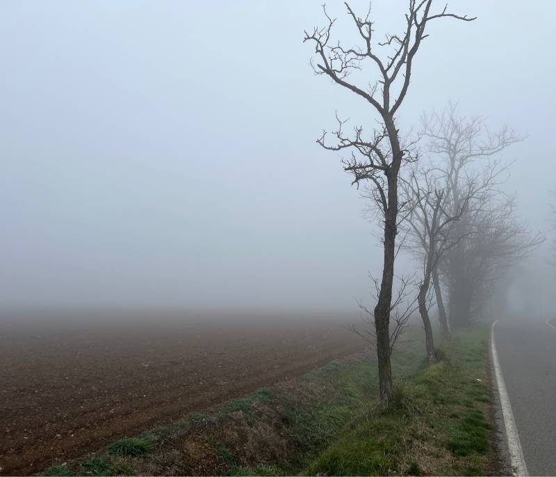 Fotosegnalazione di Piacenza sud