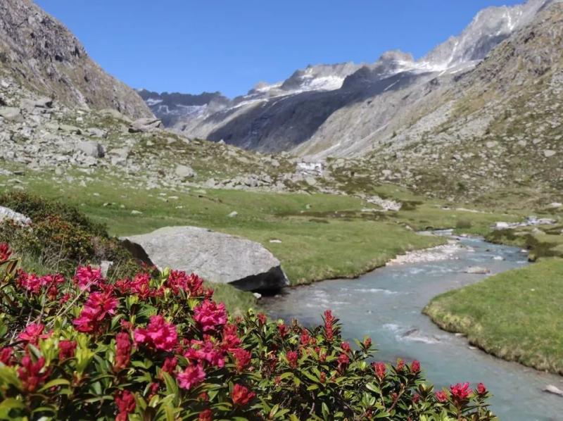 valle adame'