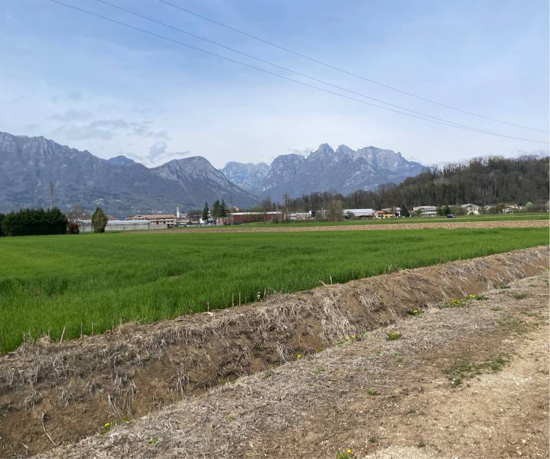 Fotosegnalazione di Sedico