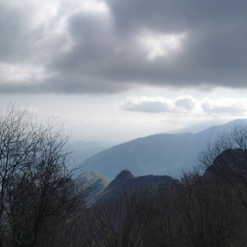 Fotosegnalazione di Mel