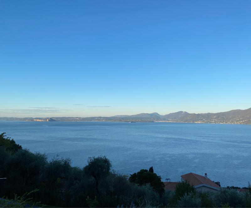 Fotosegnalazione di Torri del benaco
