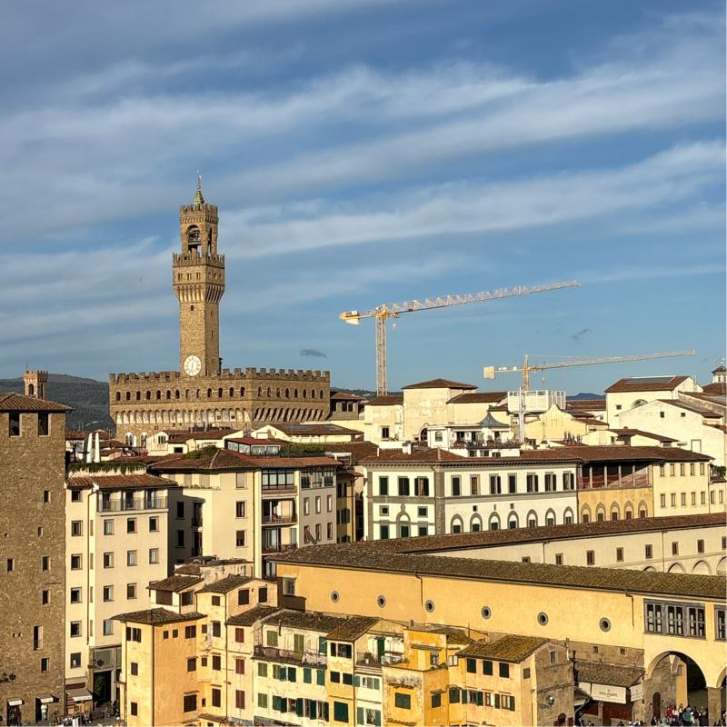 Fotosegnalazione di Firenze centro storico