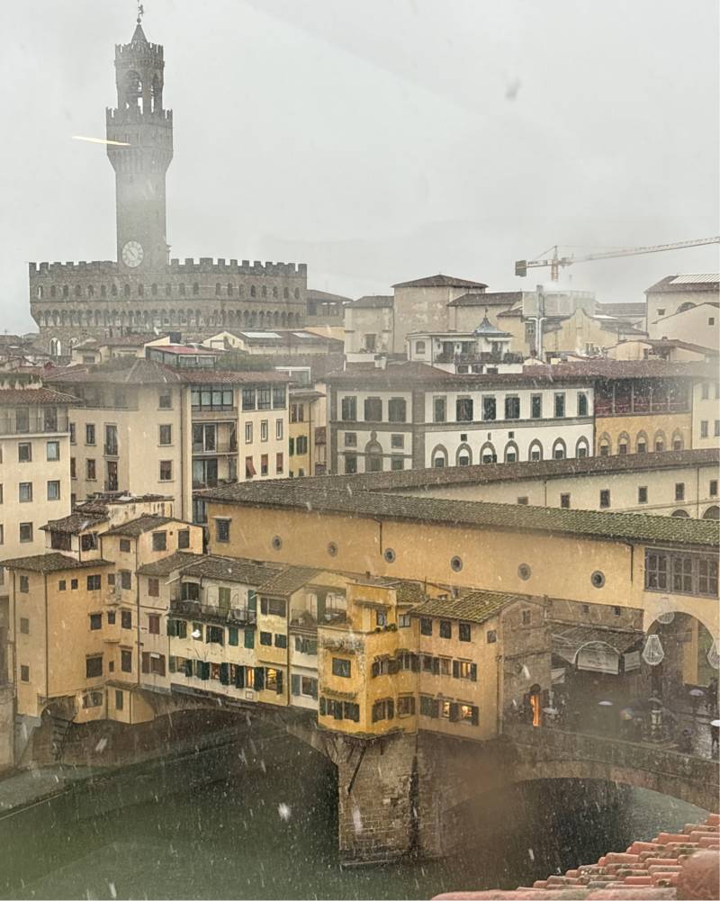 Fotosegnalazione di Firenze centro storico