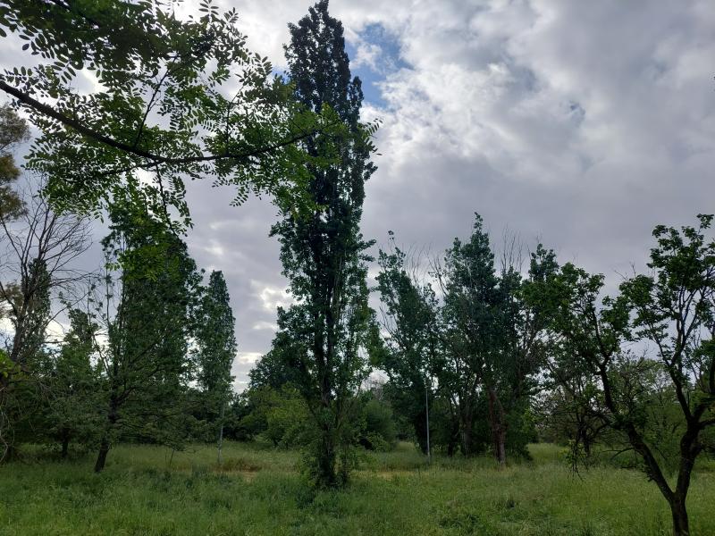 riserva laurentina