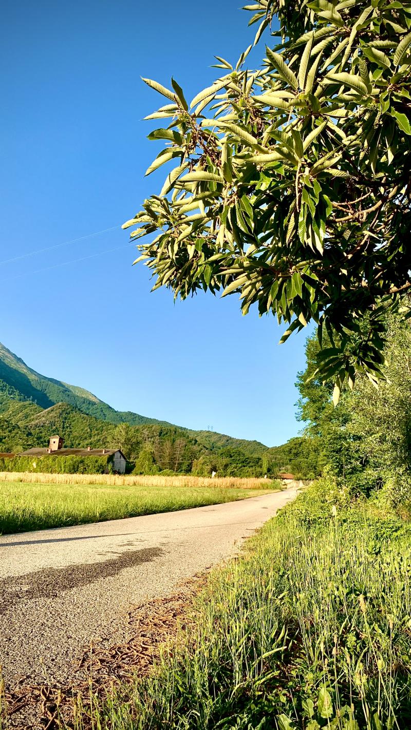 in mezzo alla campagna