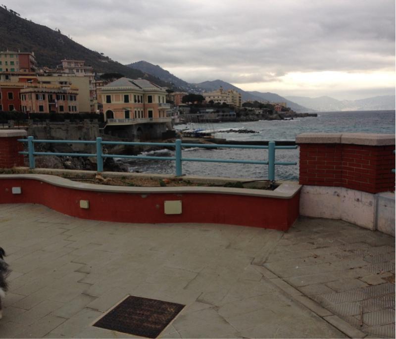 Fotosegnalazione di Genova quinto al mare