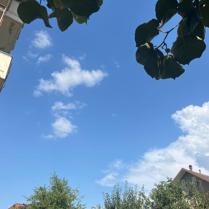 Fotosegnalazione di Torelli - torrette