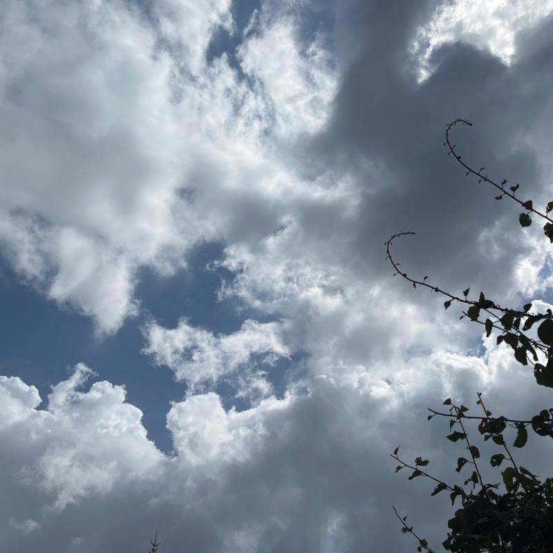 Fotosegnalazione di Torelli - torrette