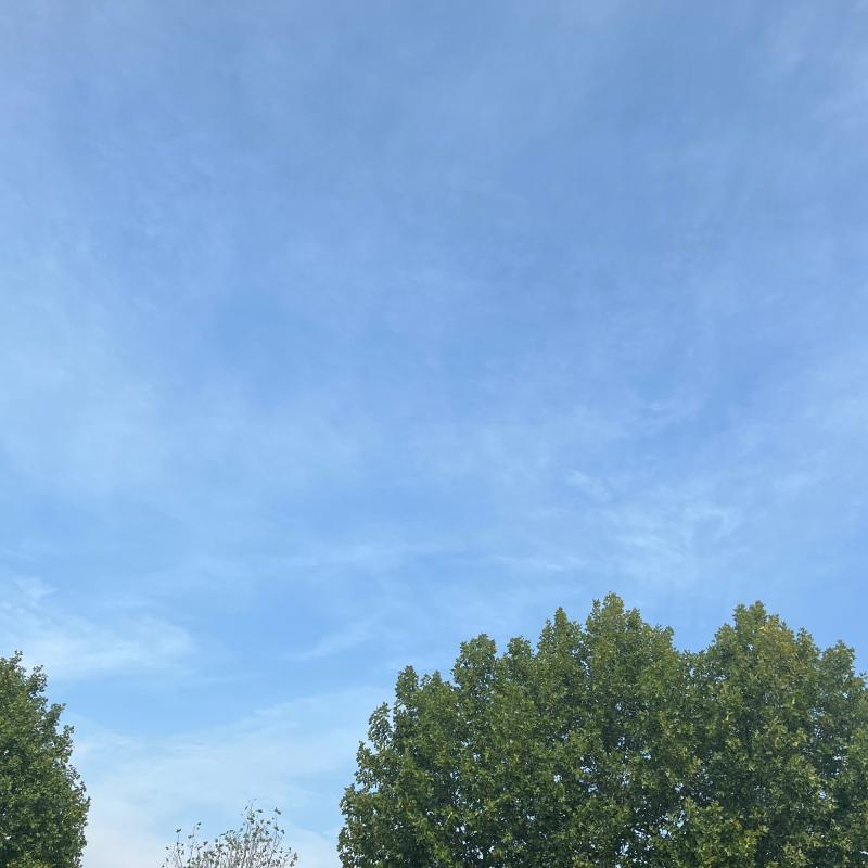 Fotosegnalazione di Paderno dugnano