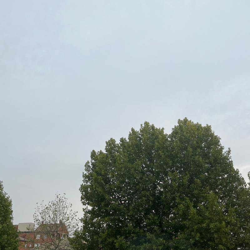 Fotosegnalazione di Paderno dugnano