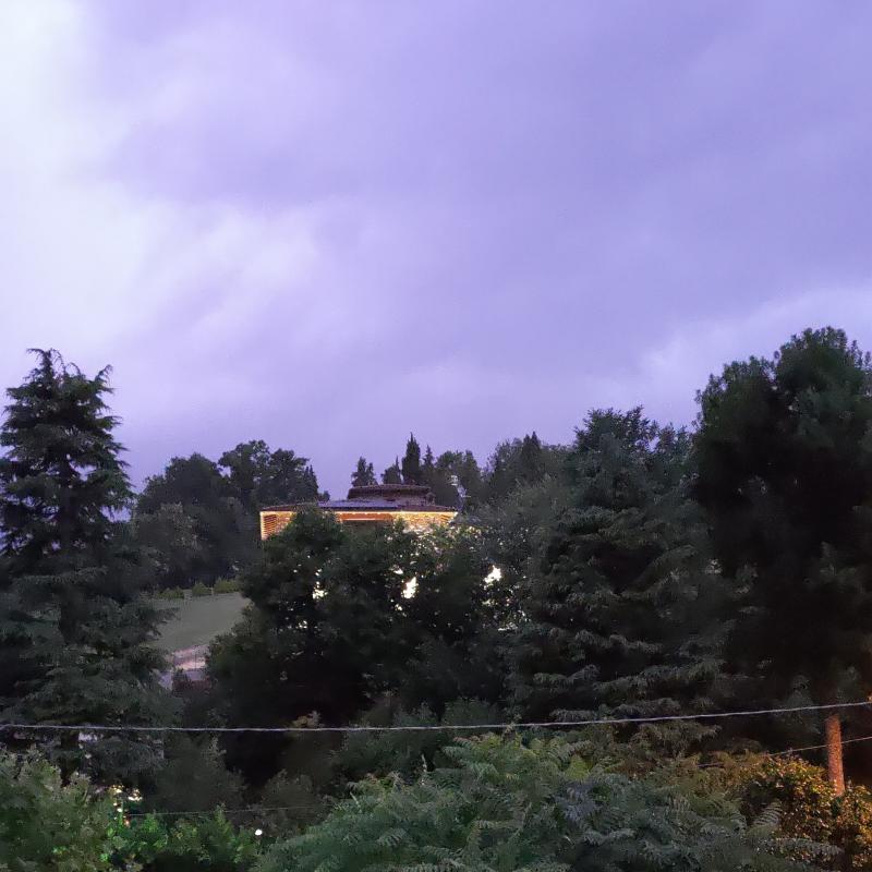 Fotosegnalazione di Zocca