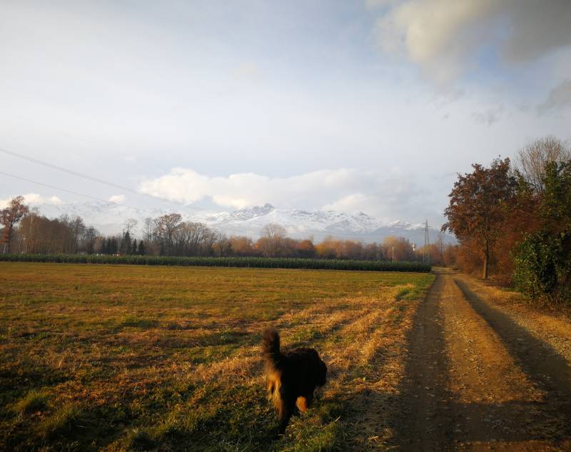 guarda in su.