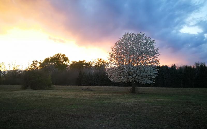 rosso di sera.. pioggia si spera.