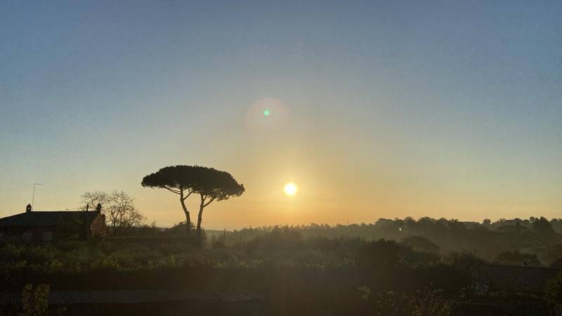Manziana Panoramica