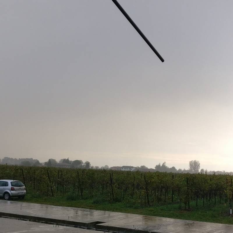 Fotosegnalazione di Bagnara di romagna