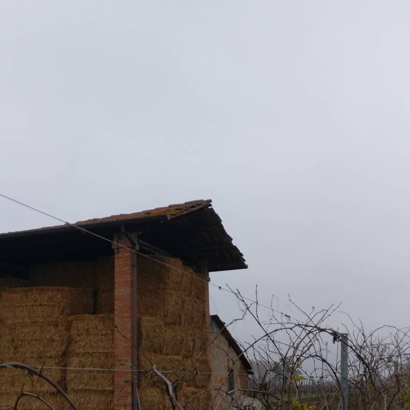 Fotosegnalazione di Bagnara di romagna