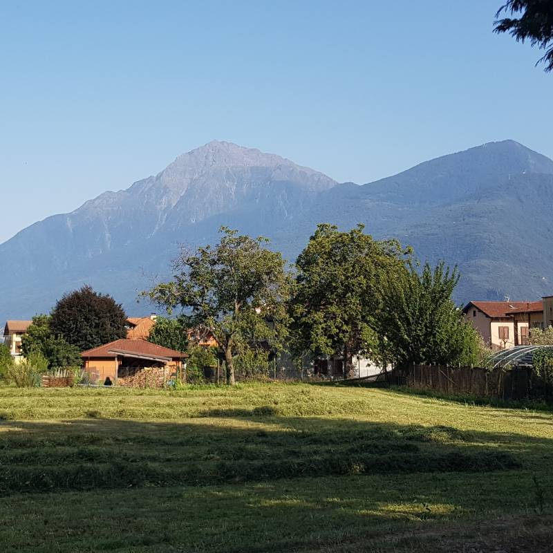 Fotosegnalazione di Dongo