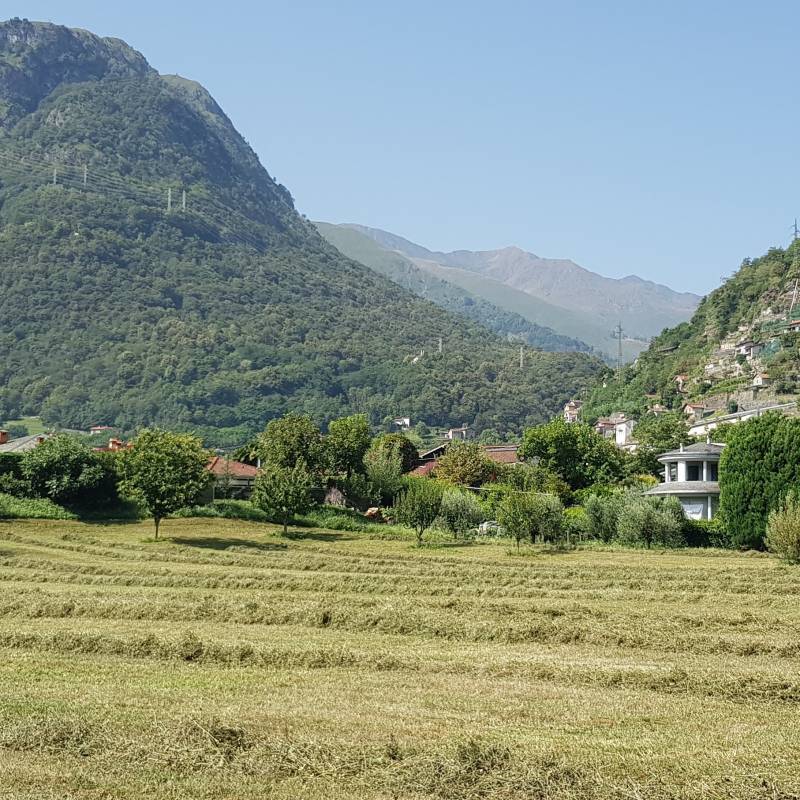 Fotosegnalazione di Dongo