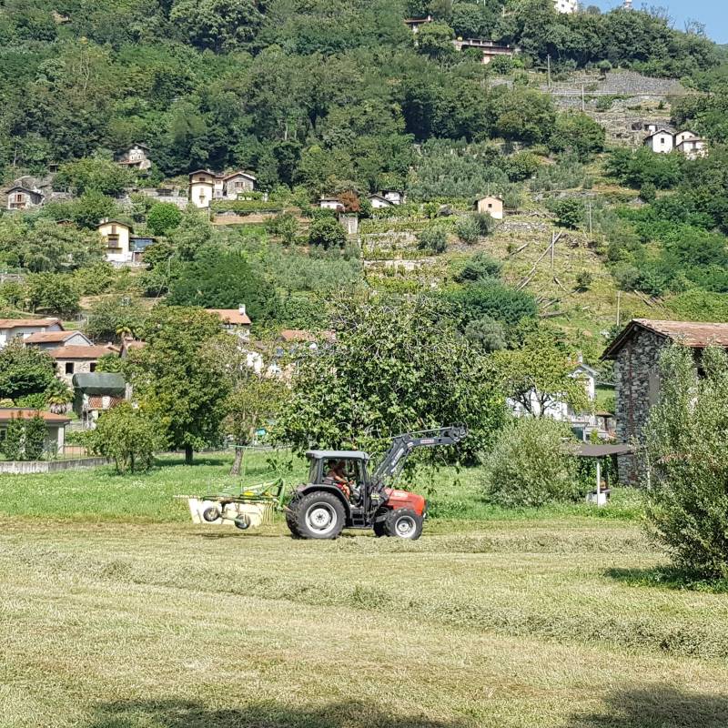 Fotosegnalazione di Dongo