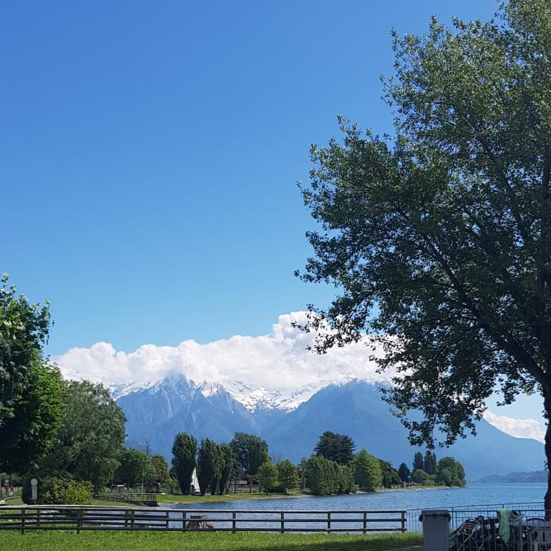 Fotosegnalazione di Consiglio di rumo