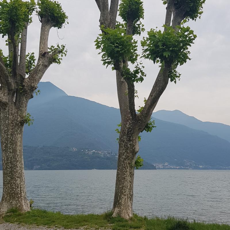 Fotosegnalazione di Gravedona