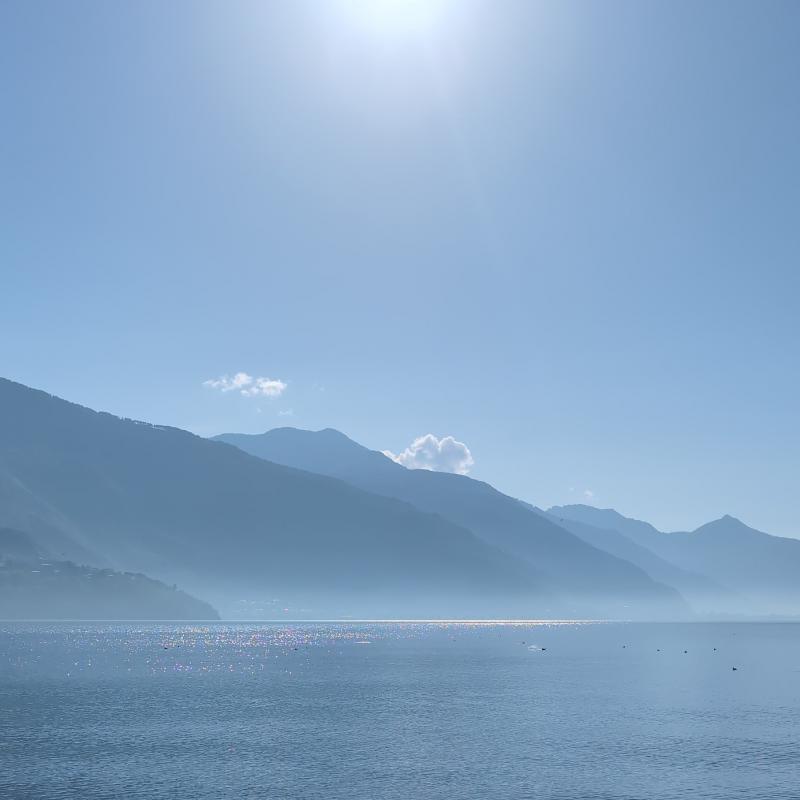 Fotosegnalazione di Consiglio di rumo