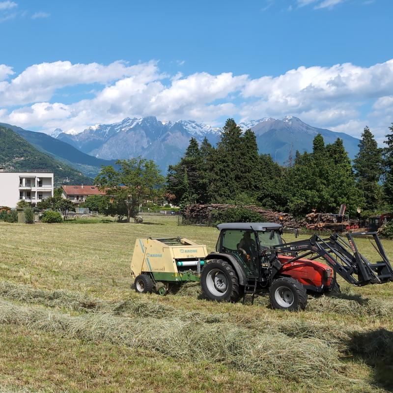 Fotosegnalazione di Dongo