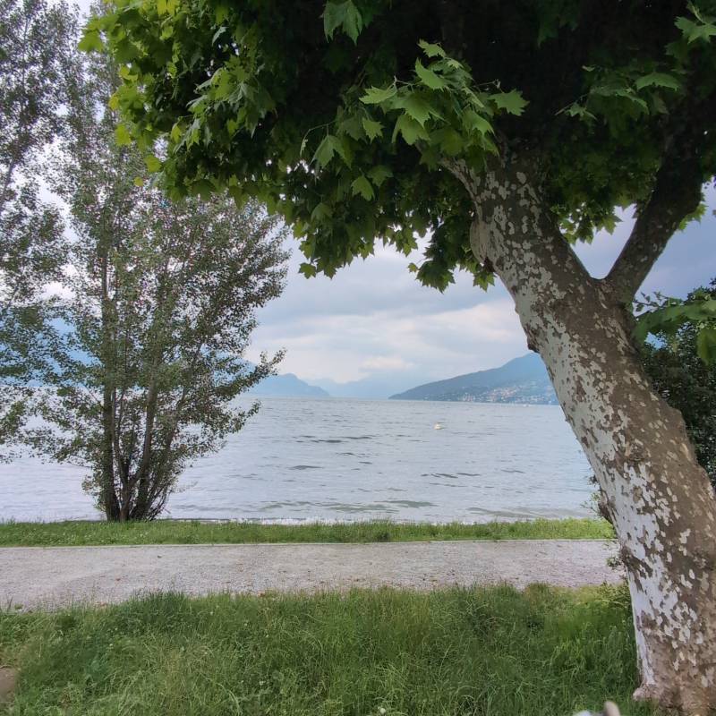 Fotosegnalazione di Dongo