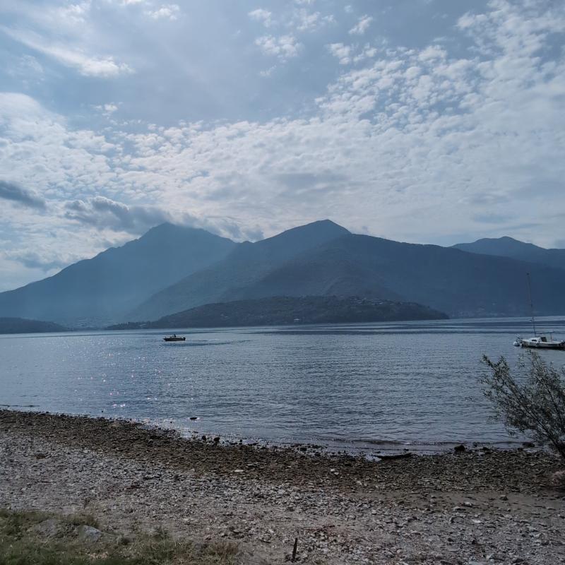 Fotosegnalazione di Consiglio di rumo