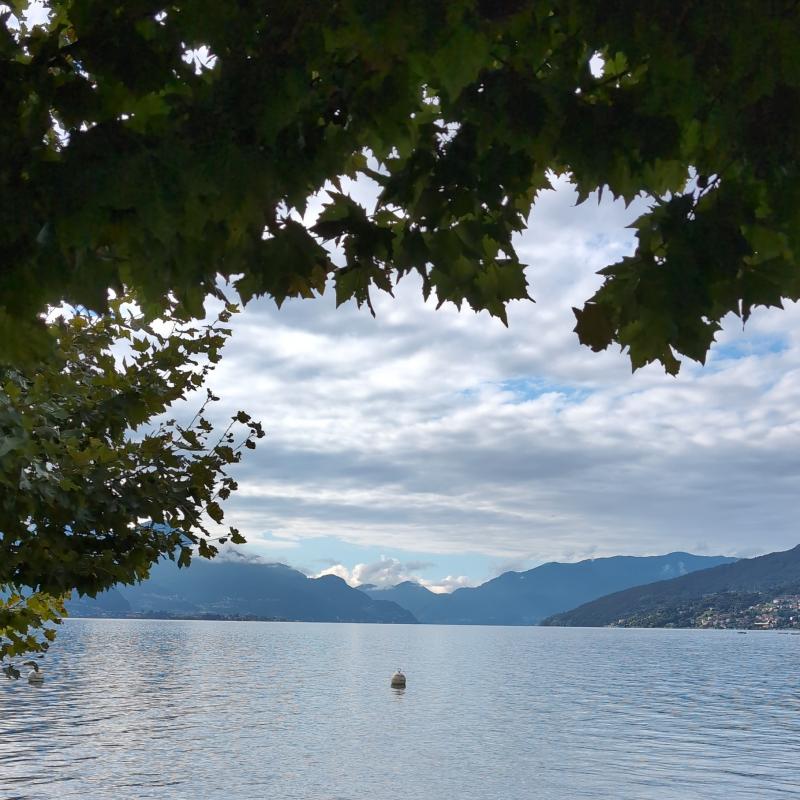Fotosegnalazione di Consiglio di rumo