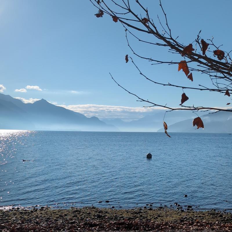 Fotosegnalazione di Consiglio di rumo
