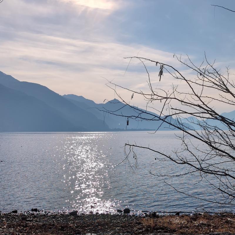 Fotosegnalazione di Gravedona