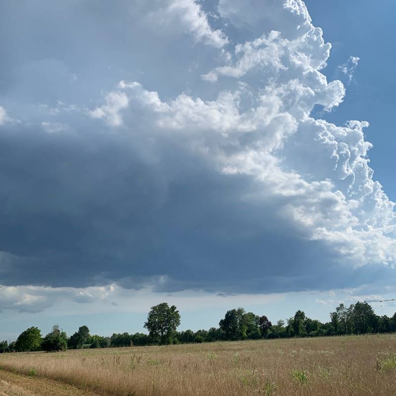 Fotosegnalazione di Cordovado