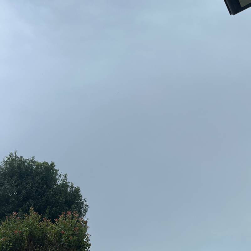 Fotosegnalazione di Cordovado