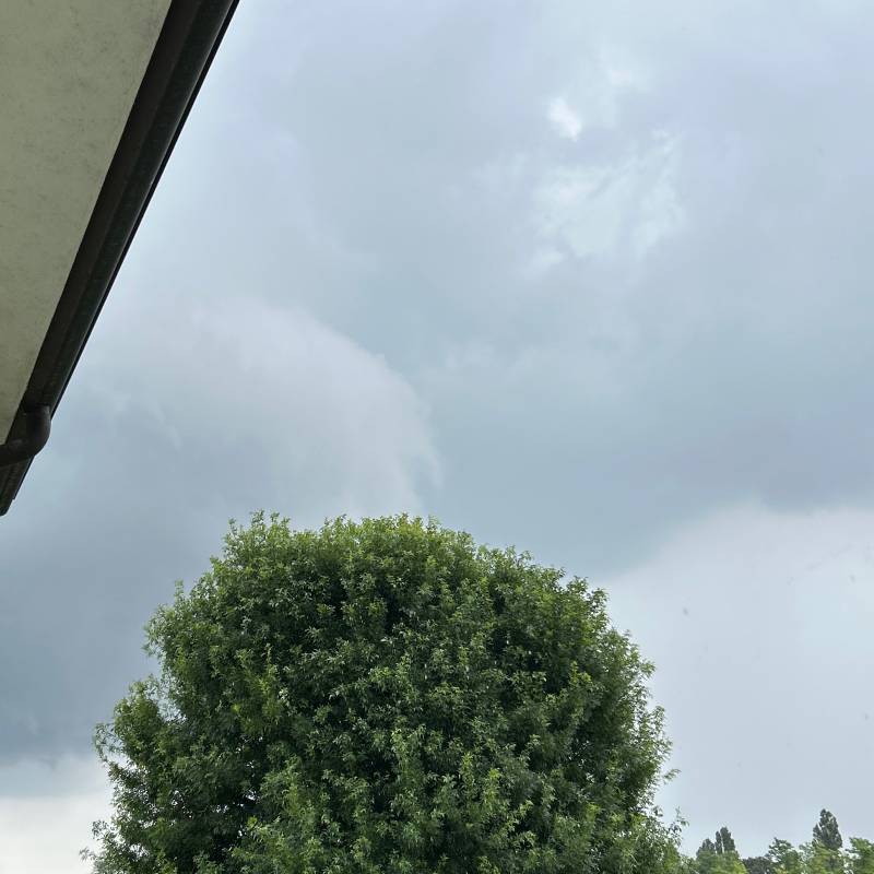 Fotosegnalazione di Cordovado