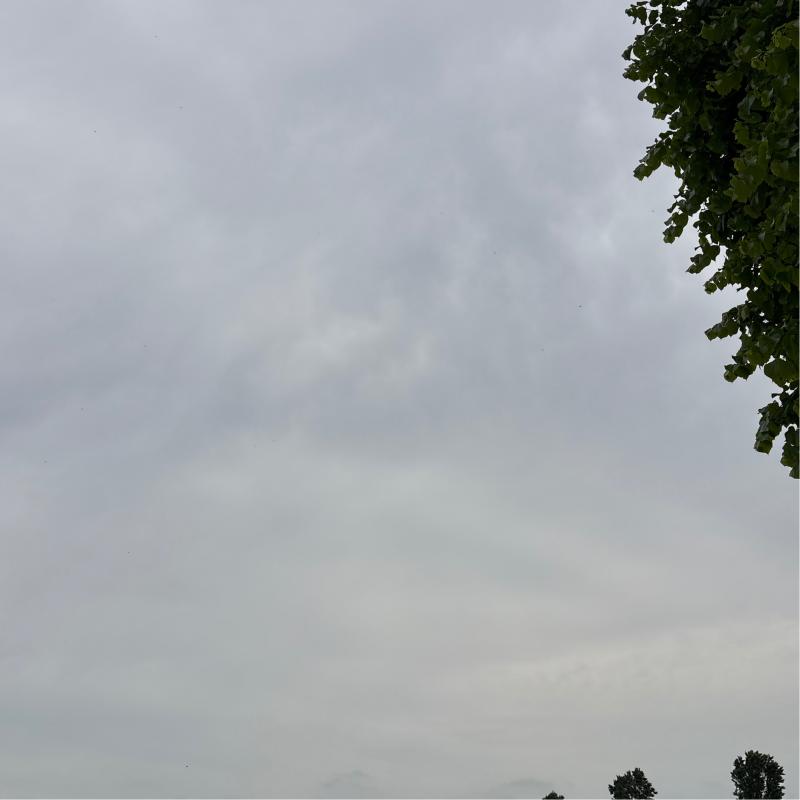 Fotosegnalazione di Cordovado