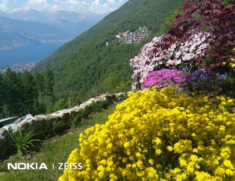 Fioritura primaverile a Ca' Capriolo Noceno Vendrogno