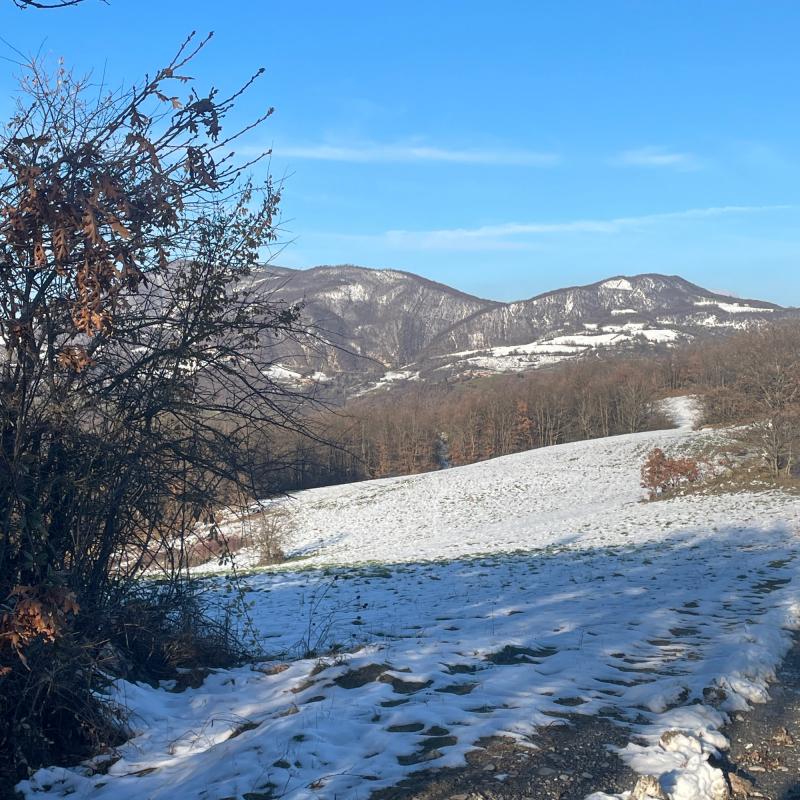 Fotosegnalazione di Varsi