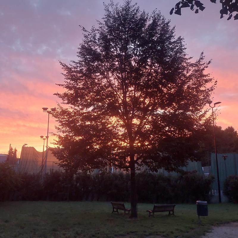Fotosegnalazione di Cinisello balsamo