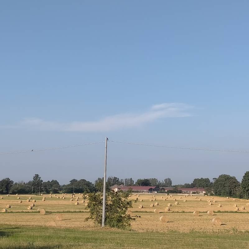Fotosegnalazione di Abbiategrasso